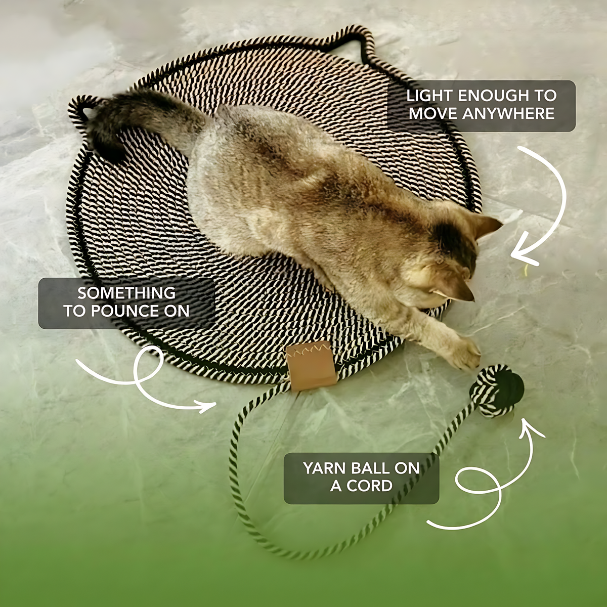 Instinct Mat | The Scratching Mat Her Biology Actually Recognizes